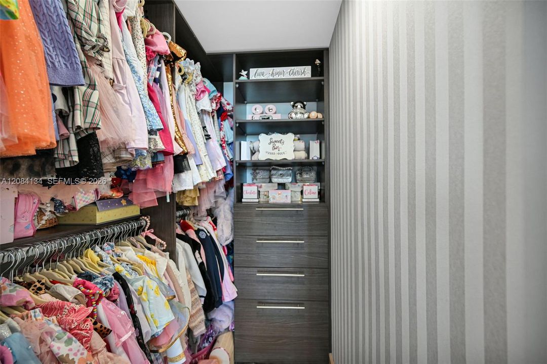 2nd Bedroom - walk-in closet wiht built ins