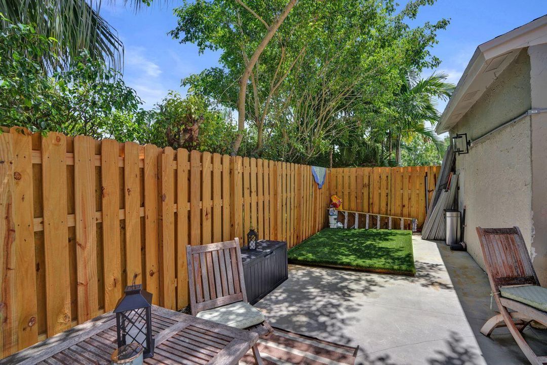 Front courtyard dog grass