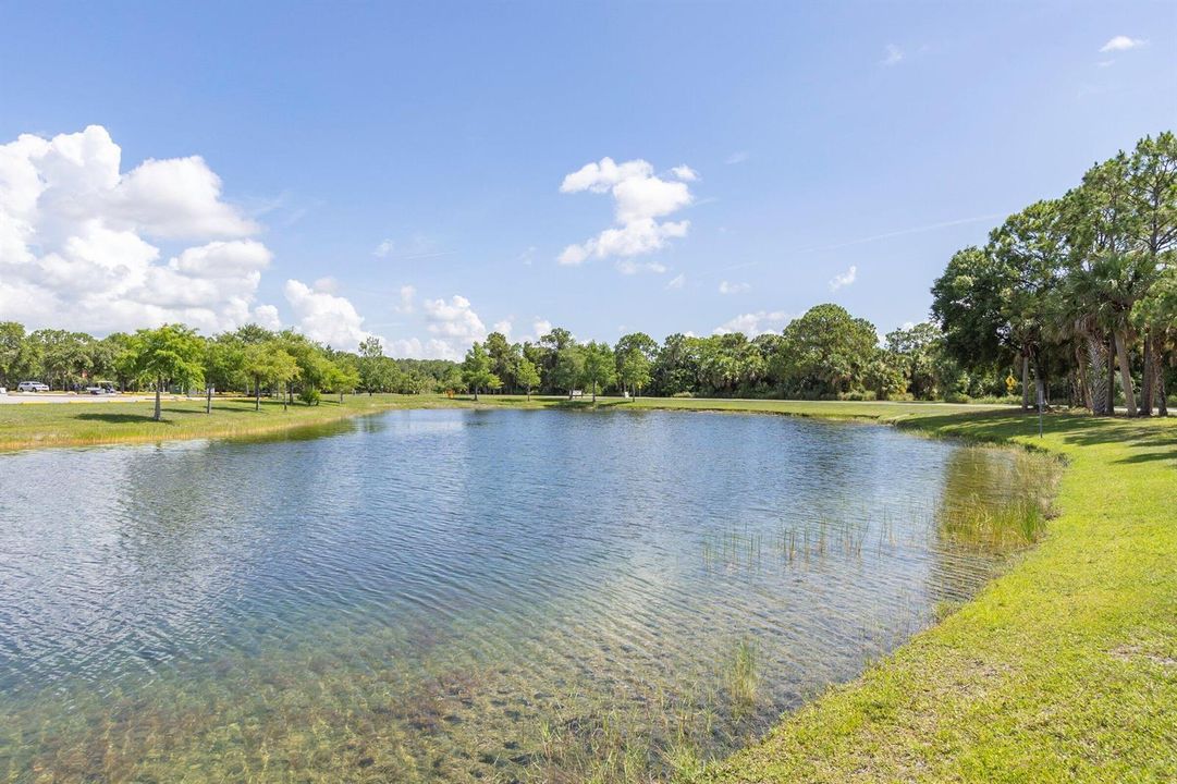 55-NW-Palm-Bay-Parks-313