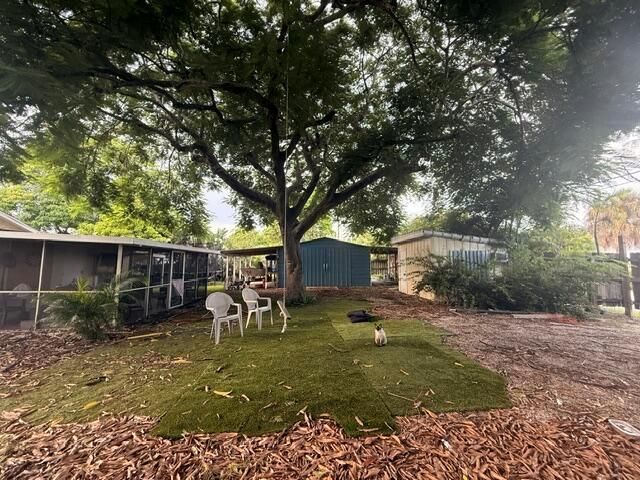 backyard shot 520