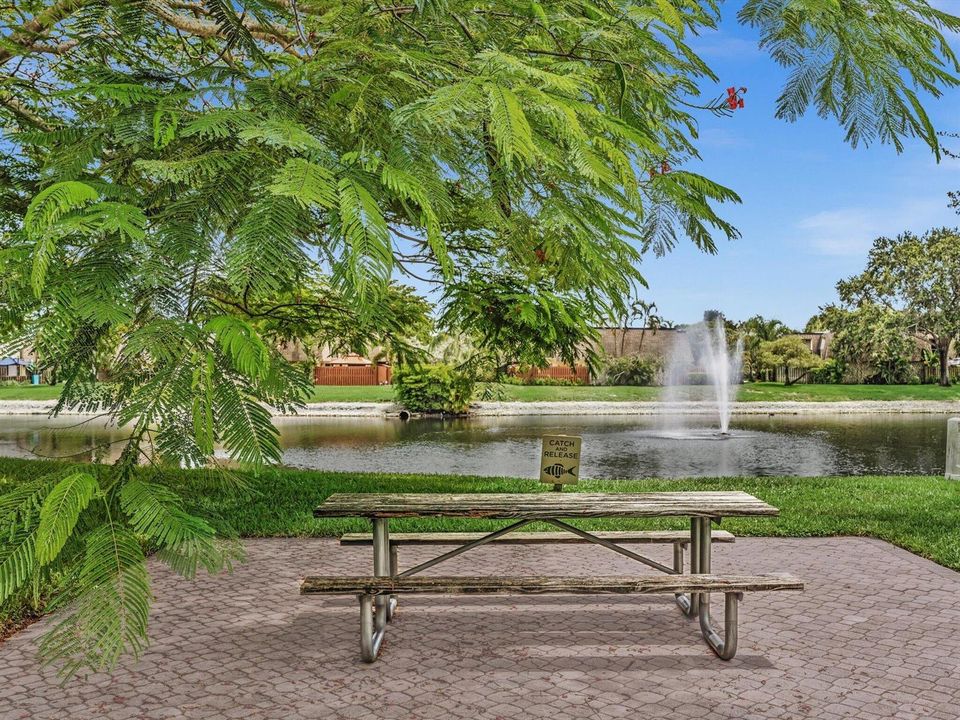 Picnic Lakeside