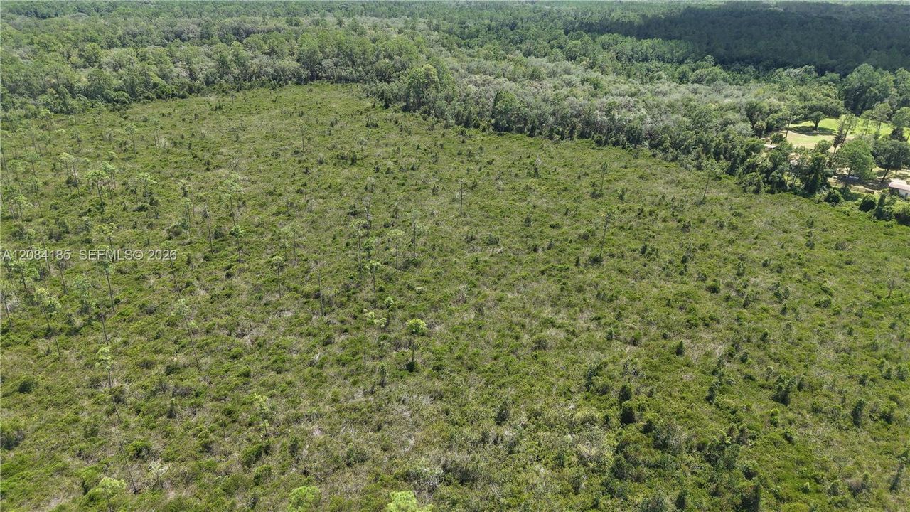 En Venta: $10,000 (0.52 acres)
