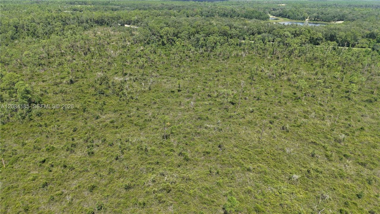 En Venta: $10,000 (0.52 acres)