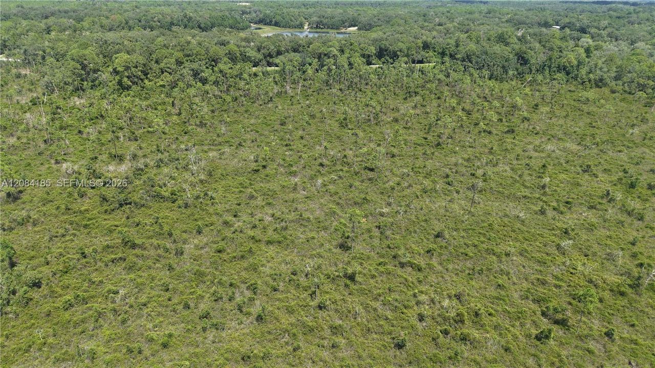 En Venta: $10,000 (0.52 acres)