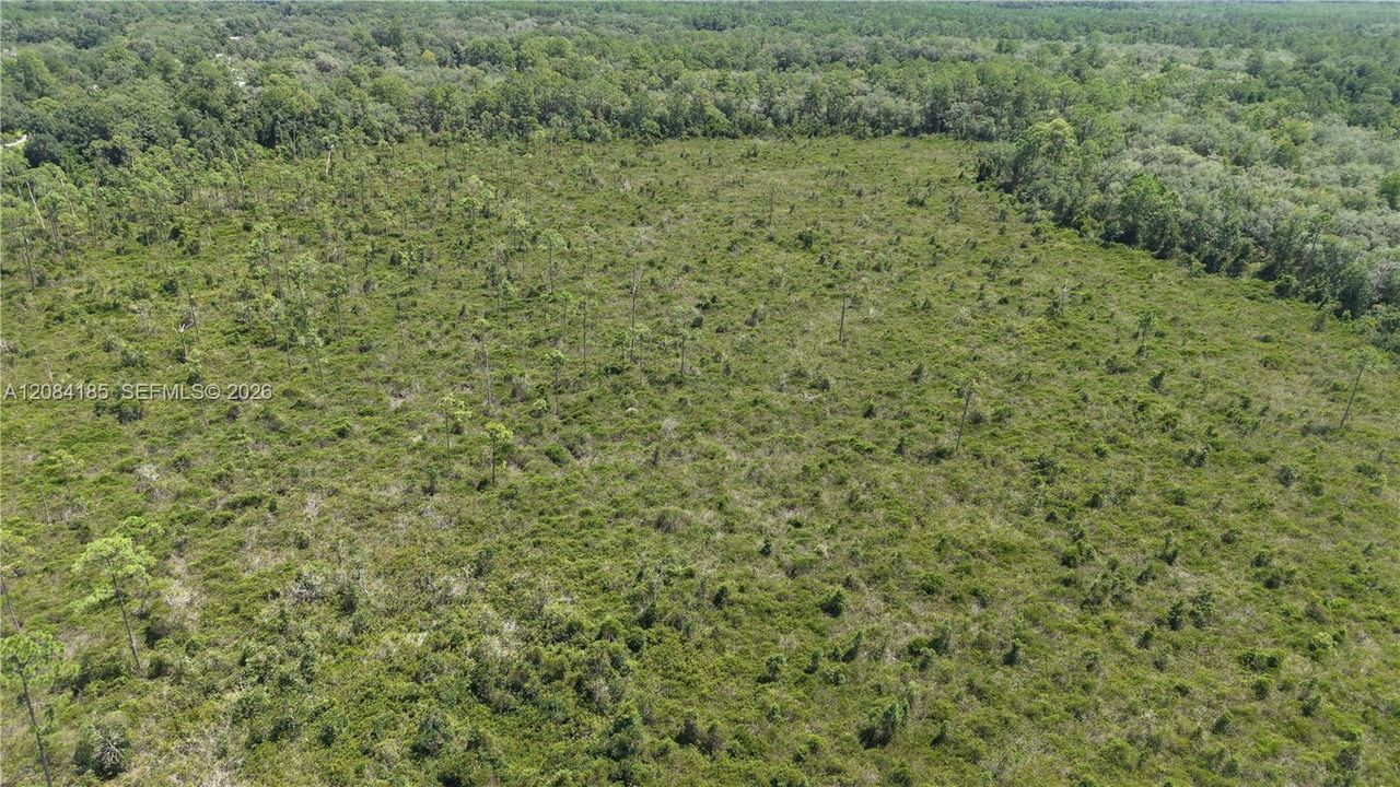 En Venta: $10,000 (0.52 acres)
