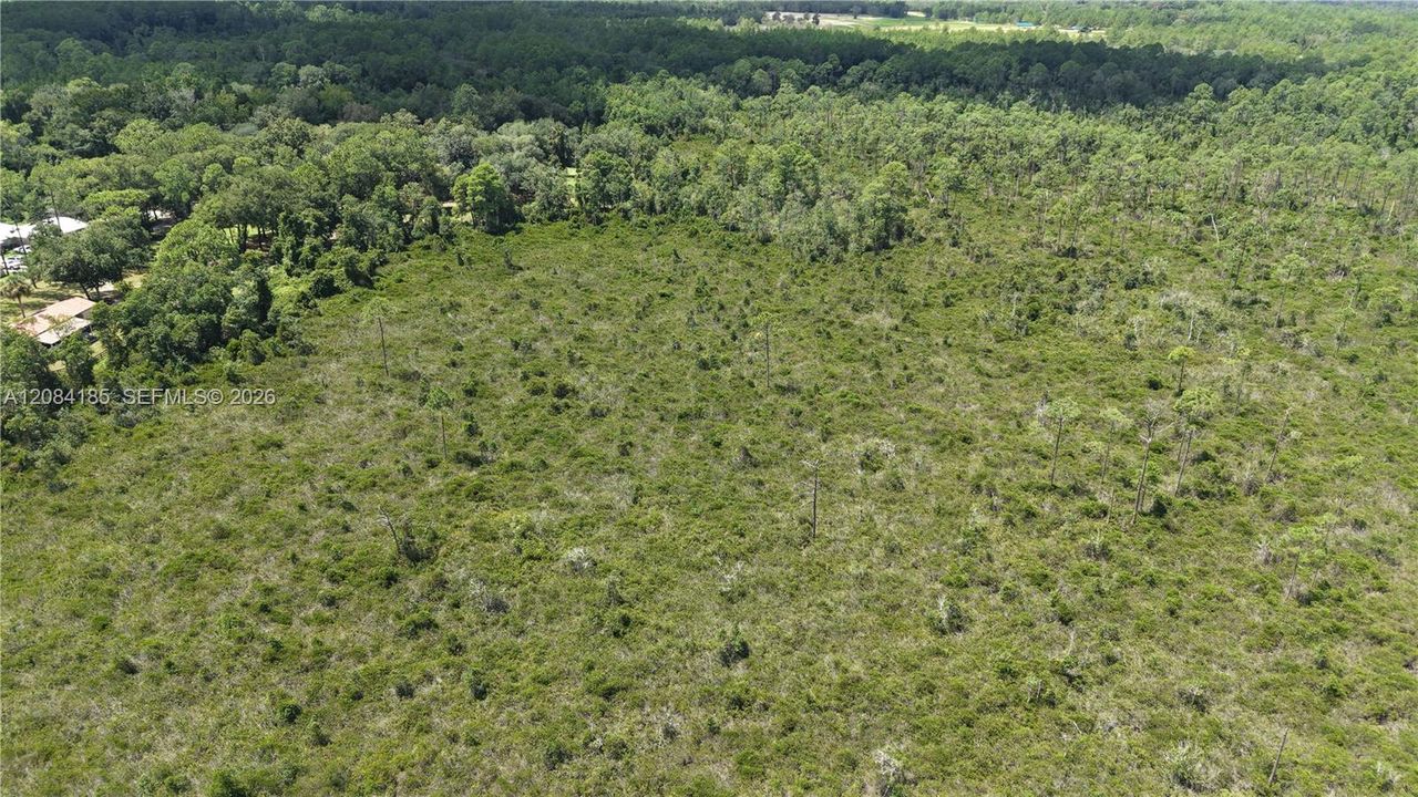 En Venta: $10,000 (0.52 acres)