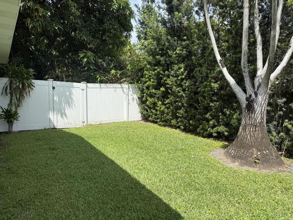 Backyard