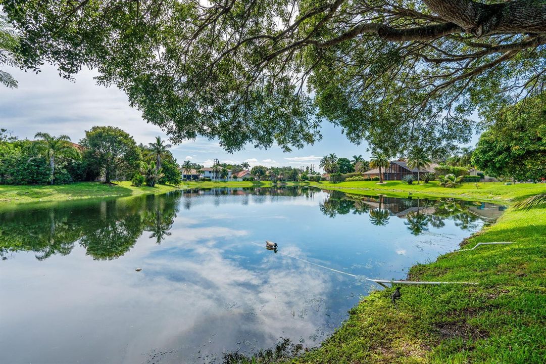 59-web-or-mls-A7408081