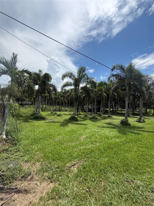待售: $1,500,000 (2.26 acres)