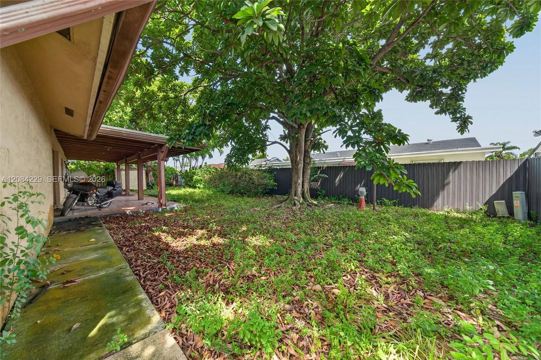 View from the east side to the terrace * some fruit trees.