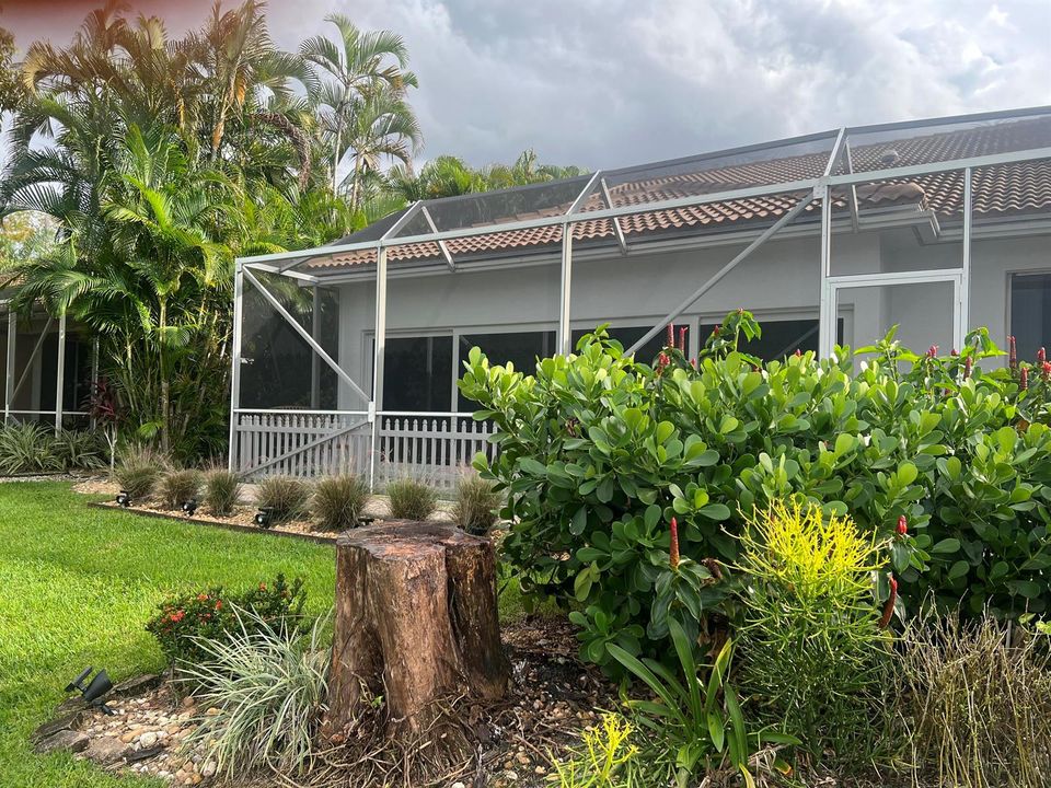 Back Yard