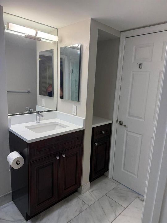 Bath Sink/Storage