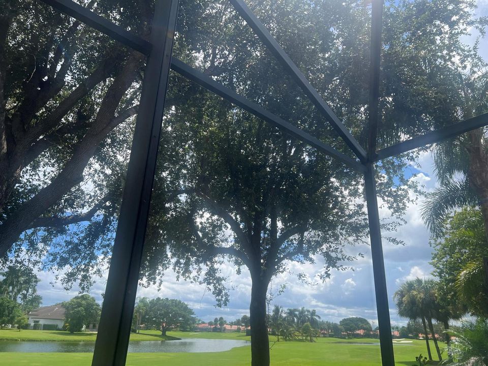 Back Yard View