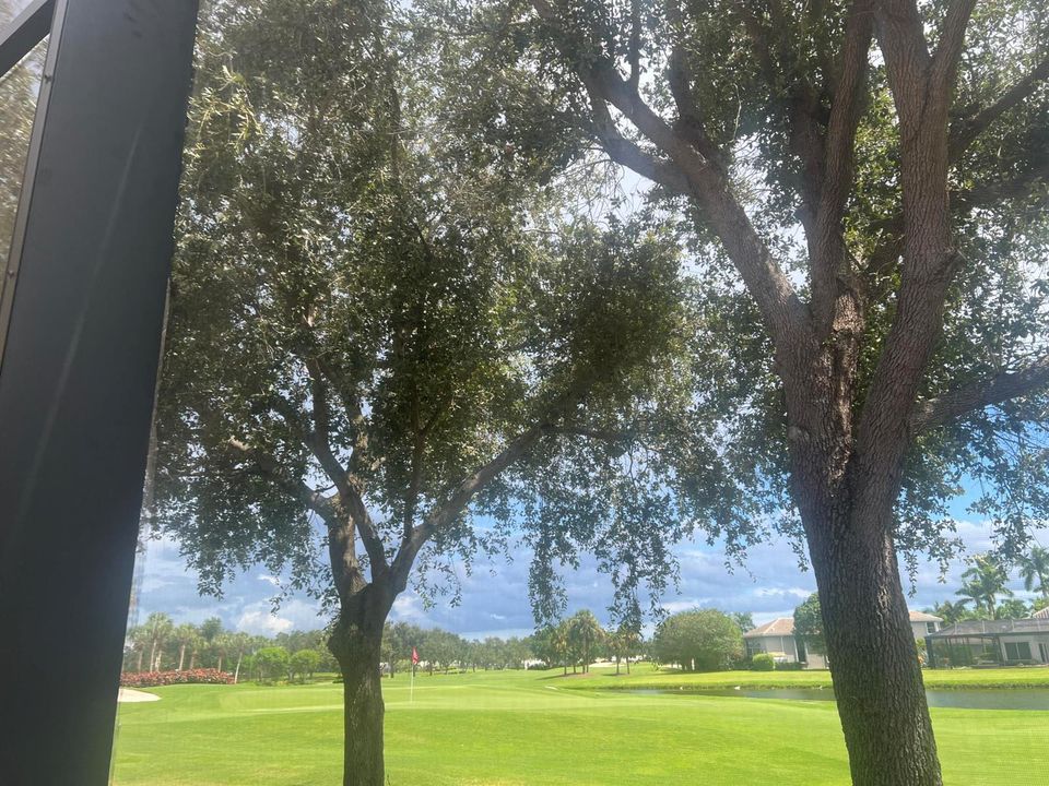 Back Yard View