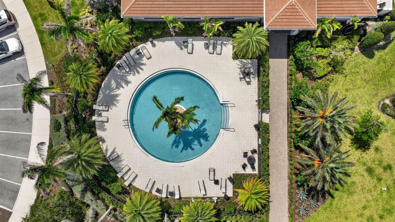 Dipping Pool