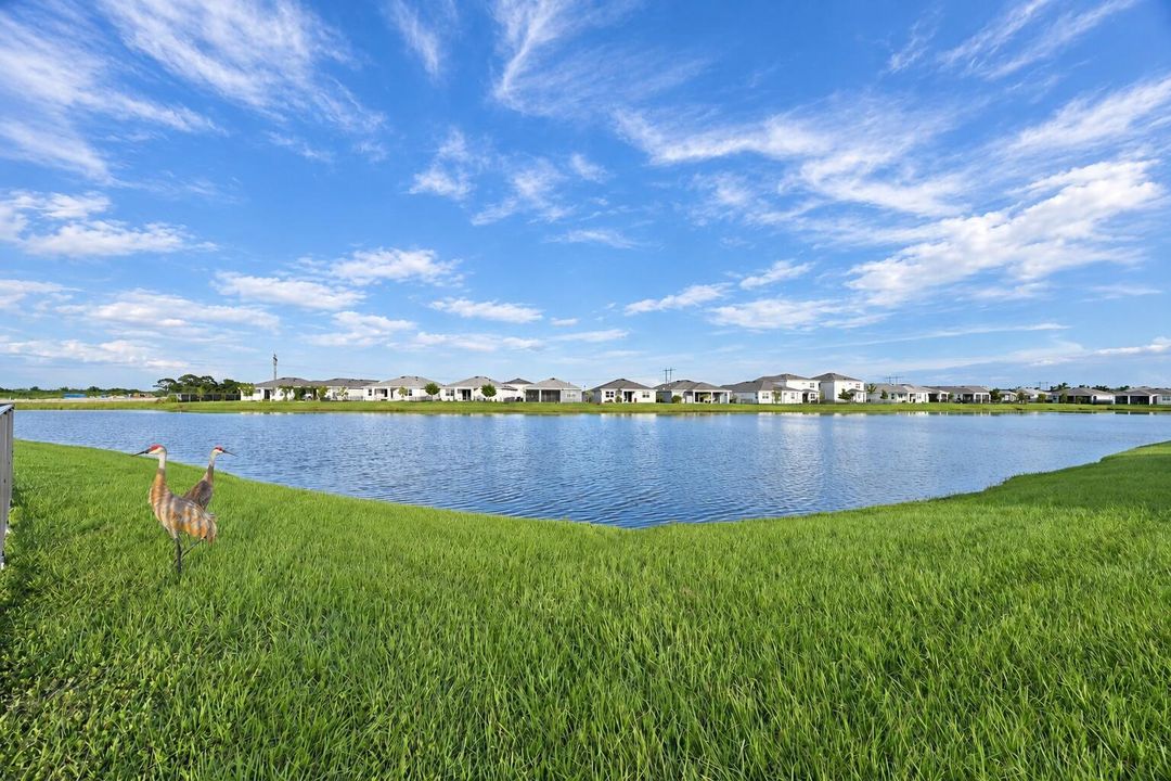 IMG_2818