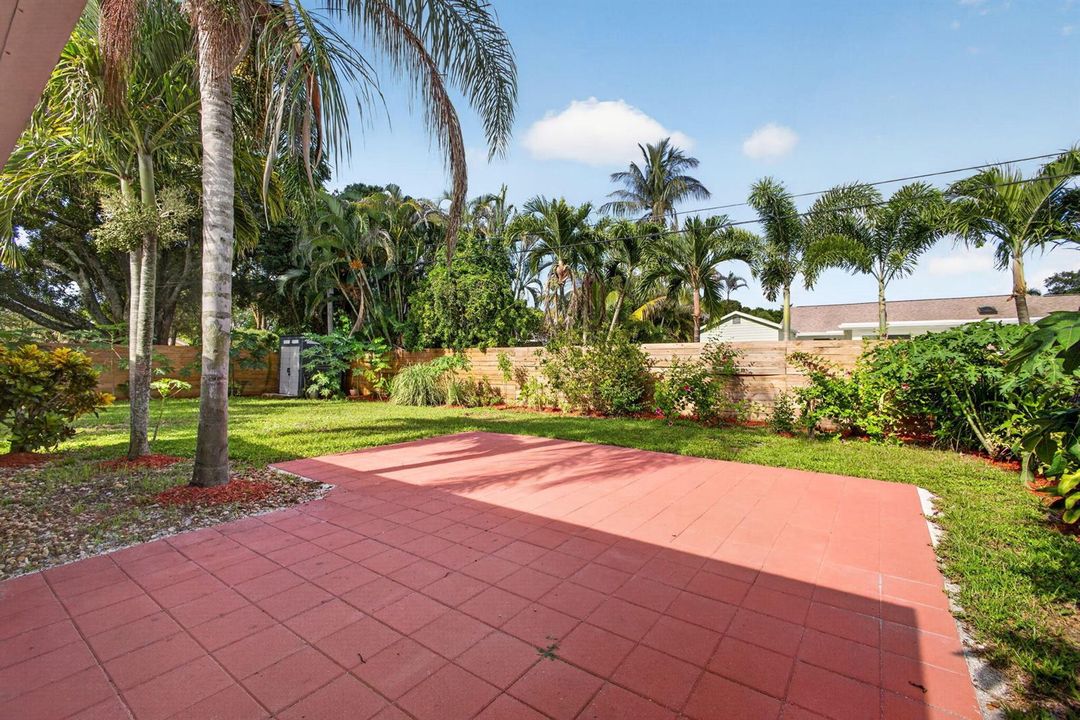 Backyard 1