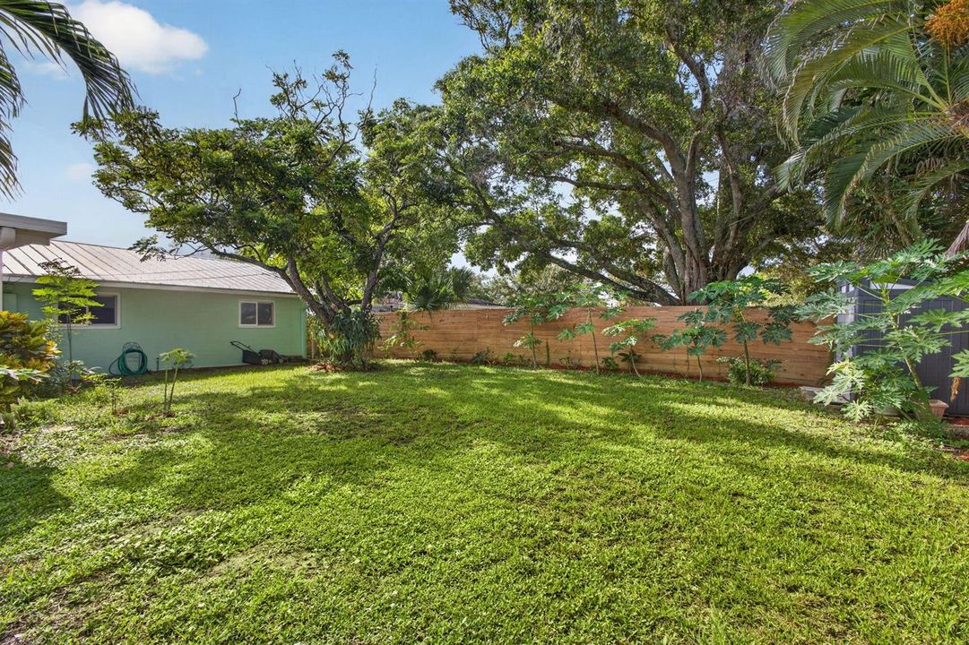 Backyard 2