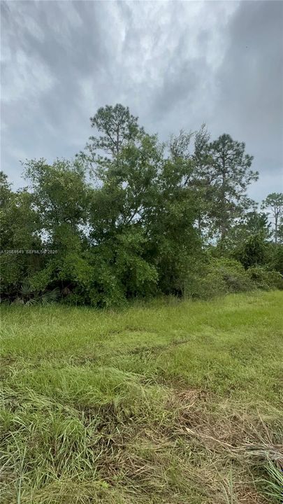 待售: $21,999 (0.35 acres)