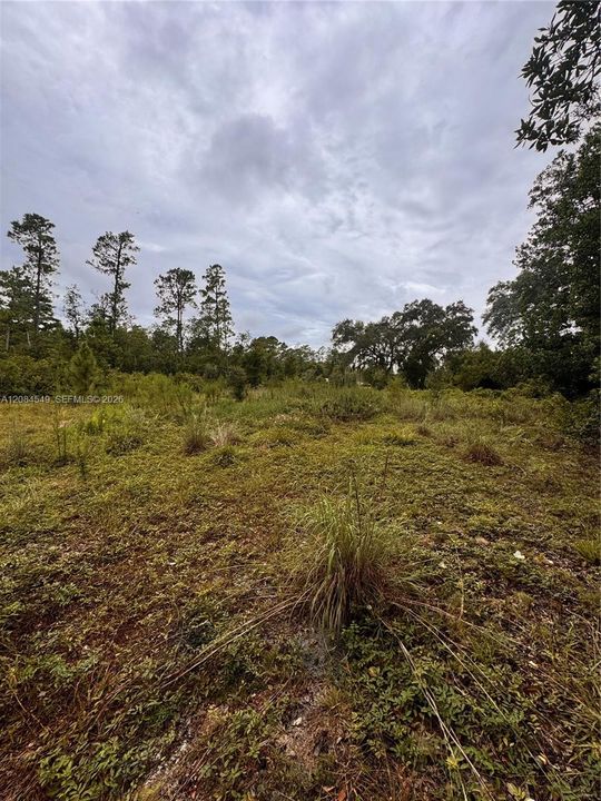 待售: $21,999 (0.35 acres)