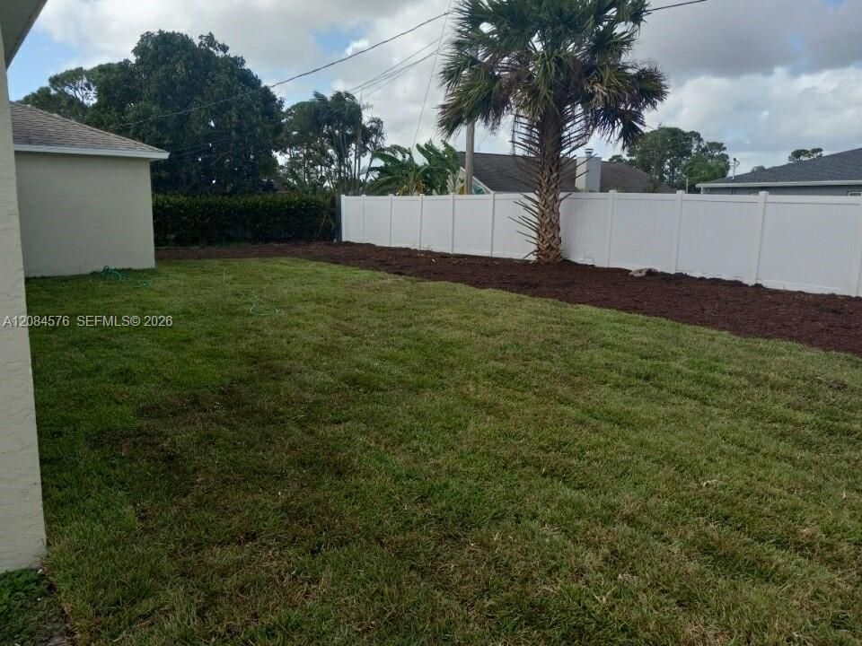 Back Yard