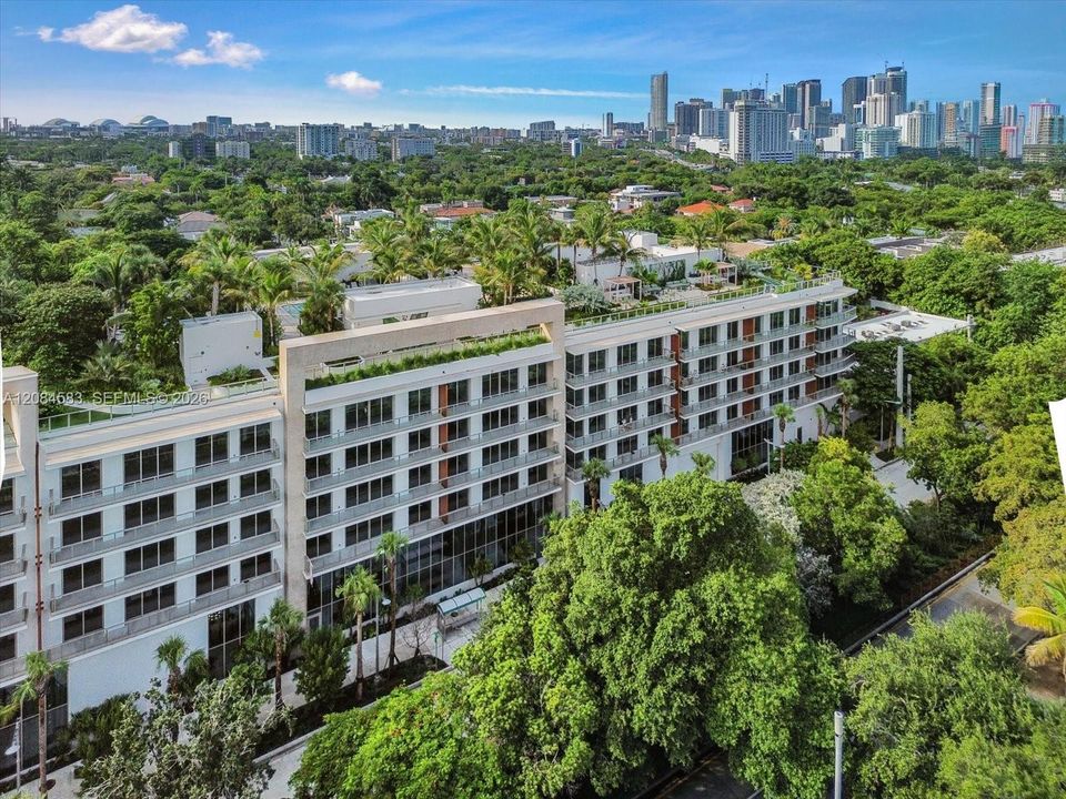 2200 Brickell surrounded by South Brickell's lush canopy