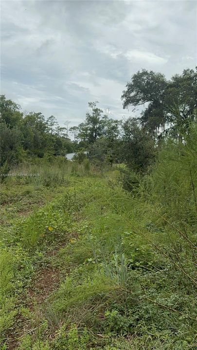 待售: $21,999 (0.35 acres)