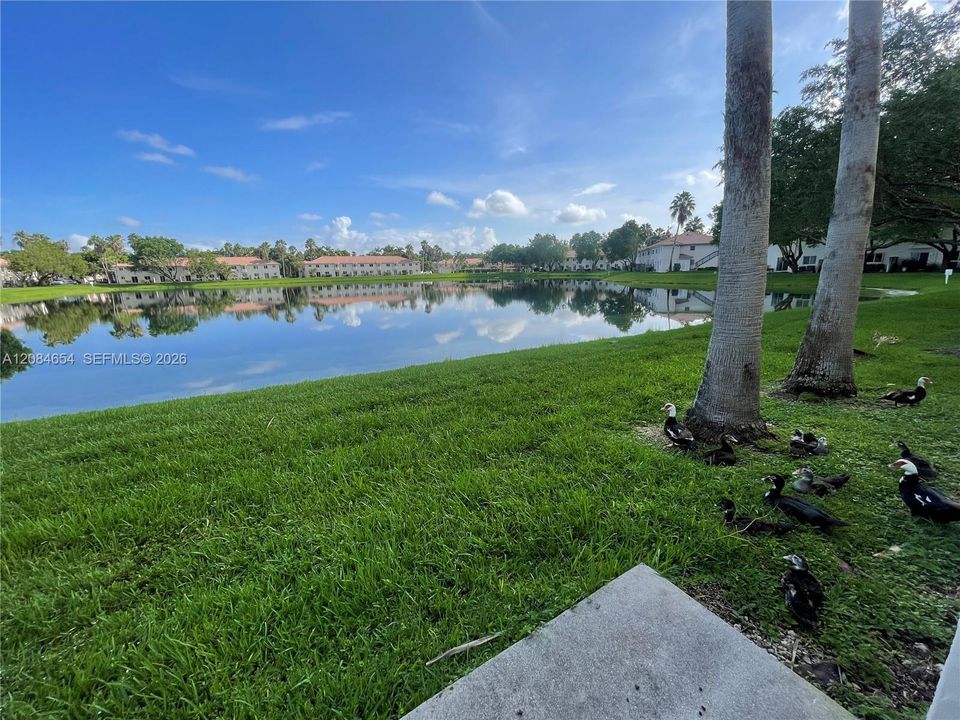 For Rent: $2,100 (3 beds, 2 baths, 1099 Square Feet)