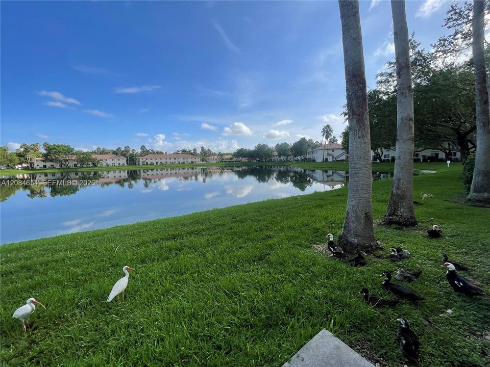 For Rent: $2,100 (3 beds, 2 baths, 1099 Square Feet)