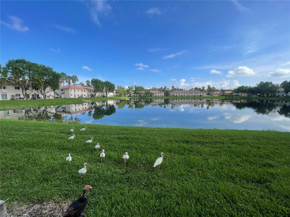 For Rent: $2,100 (3 beds, 2 baths, 1099 Square Feet)