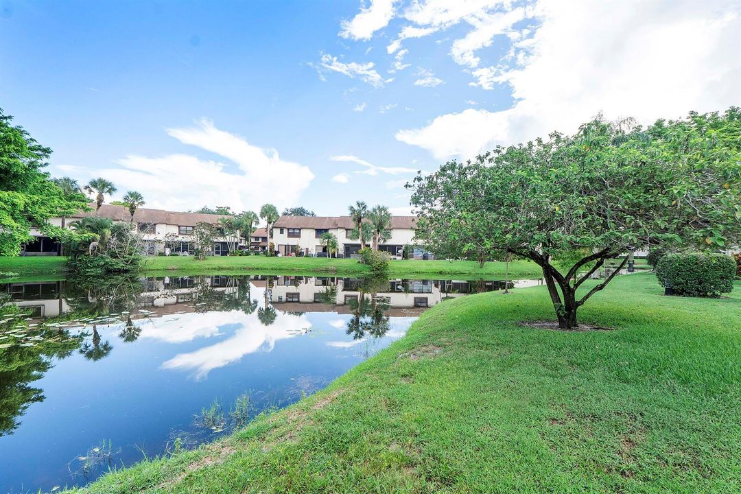 3356 Carambola Cir S_032