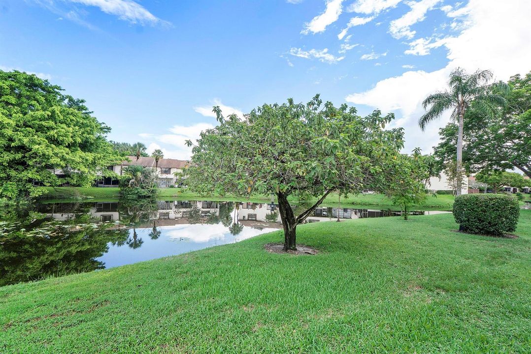 3356 Carambola Cir S_035