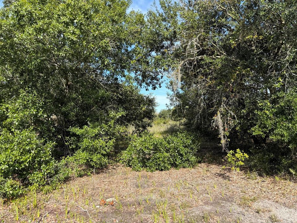 okeechobee-fl-wooded-homesite-land-for-s