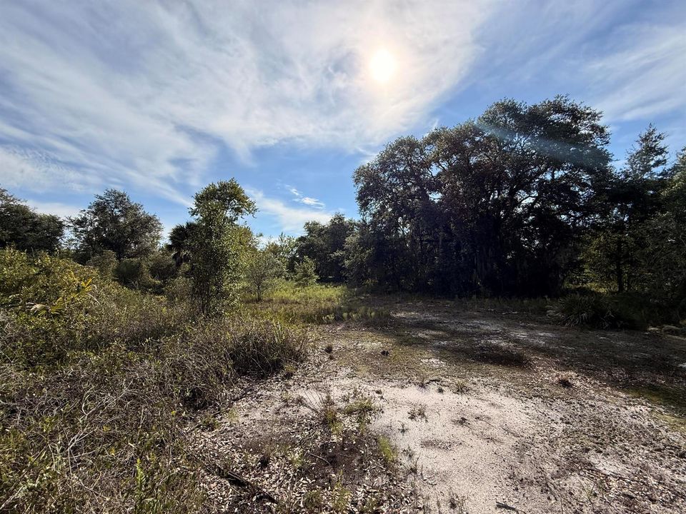 okeechobee-fl-acreage-road-and-utility-l