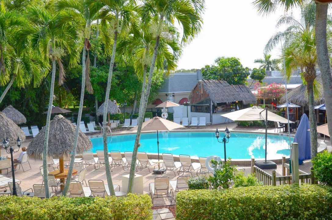POOL/TIKI
