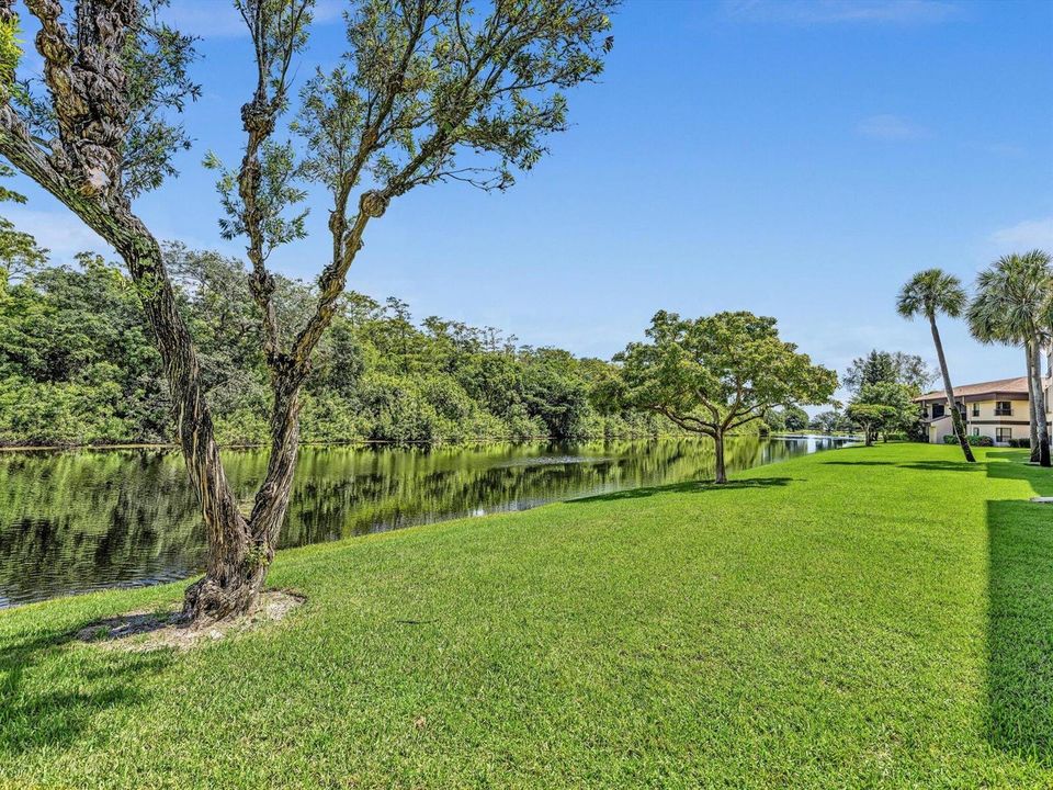 44-FPP01481