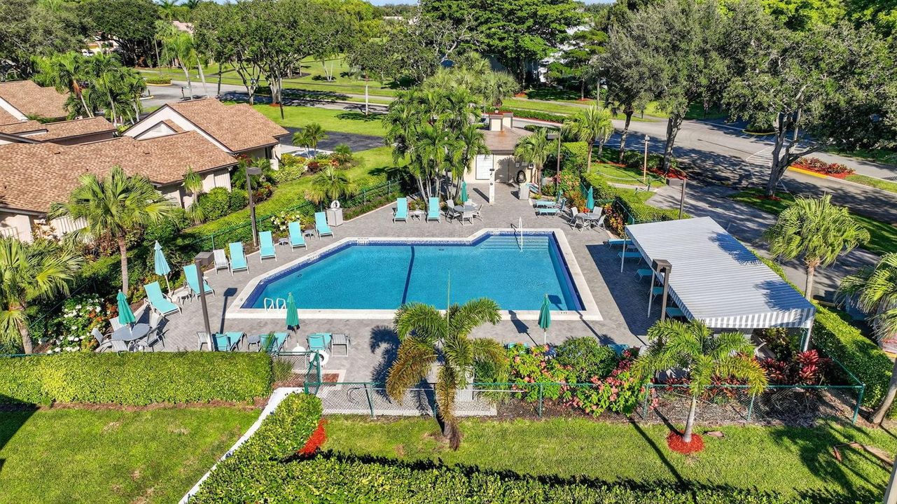 Main Pool