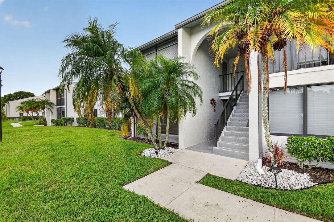 2. 1002 Green Pine C1