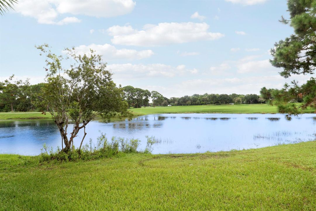 Lake Views