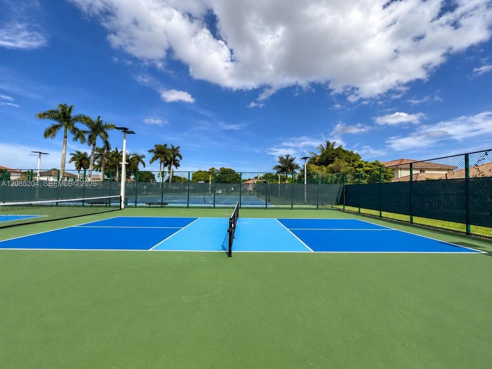 Pickle Ball Court