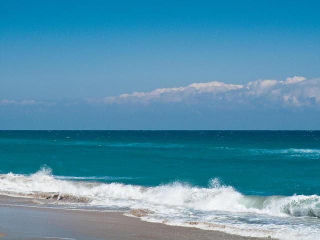 Ocean at the Patrician