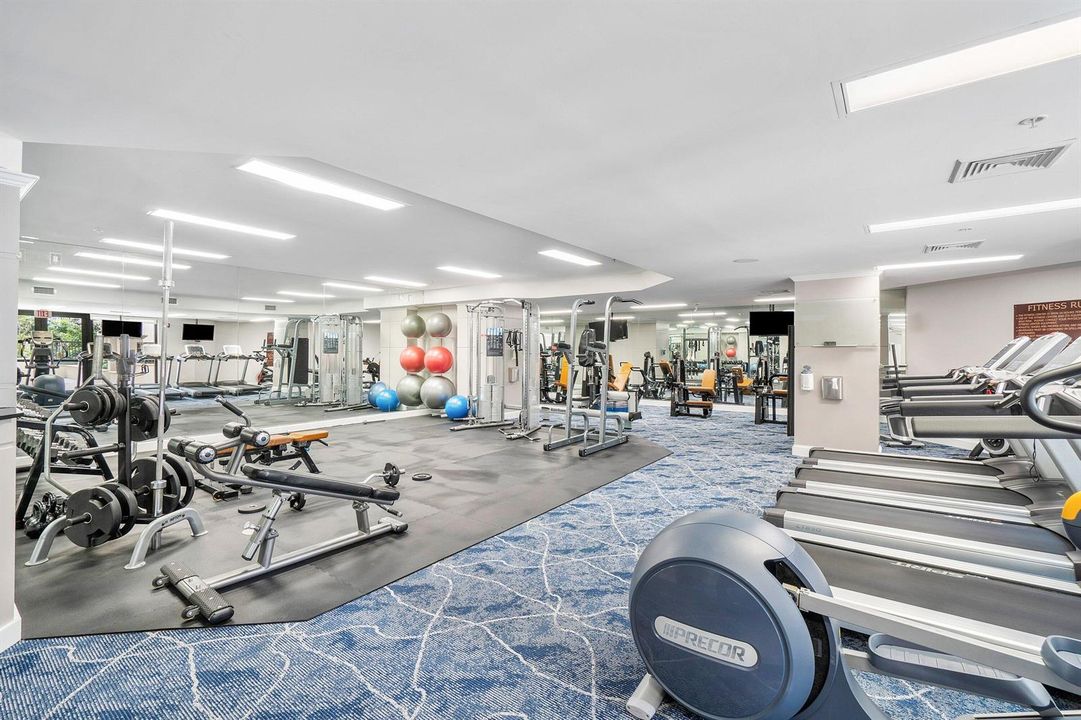 Large Modern Gym