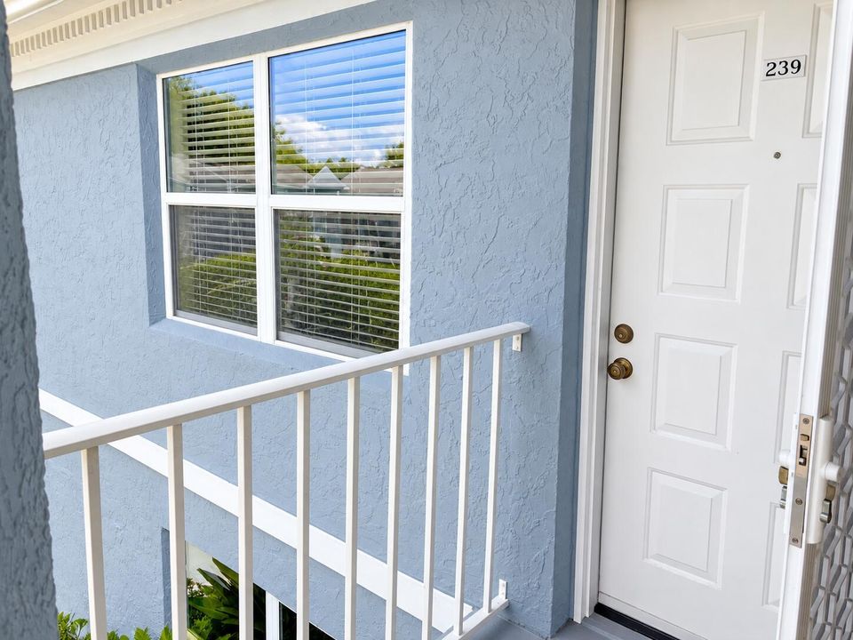 Front Door and Windo