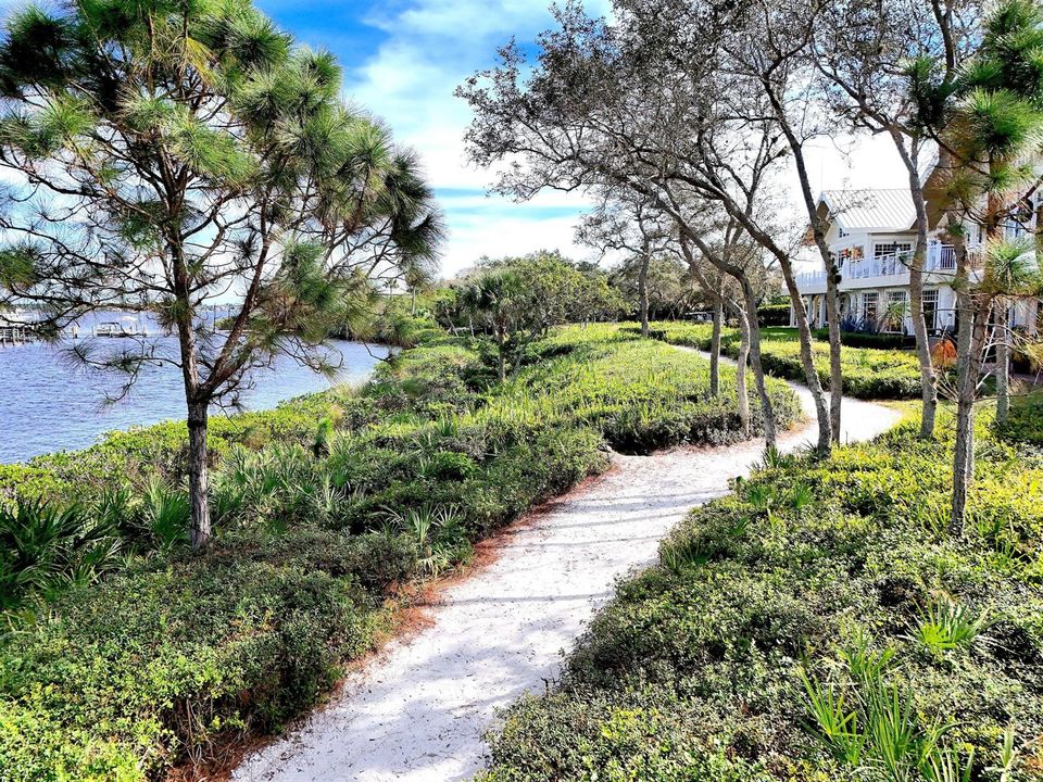 Nature Trail
