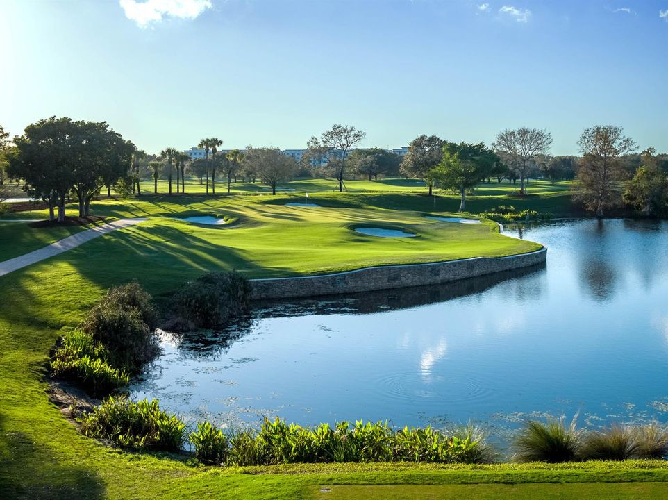 OC Hole 8 - 2_DJI_0051