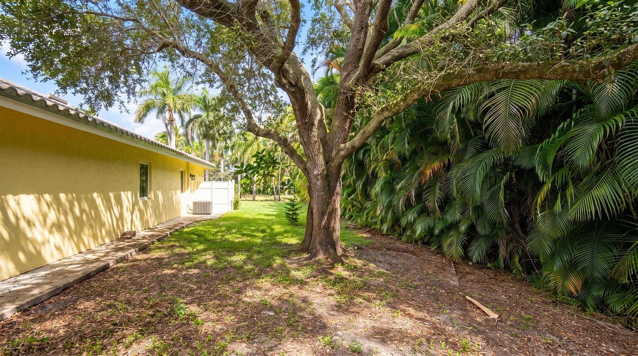 Side Yard