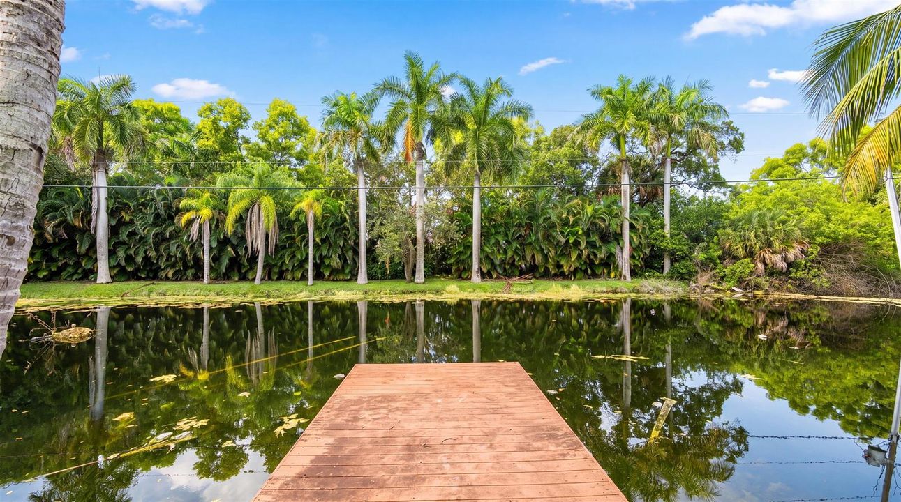 Fish Off Your Dock