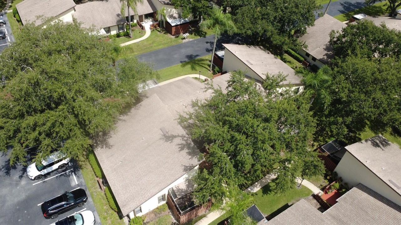 Aerial top
