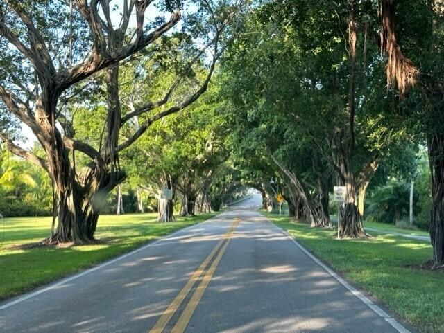 Bridge Road 1