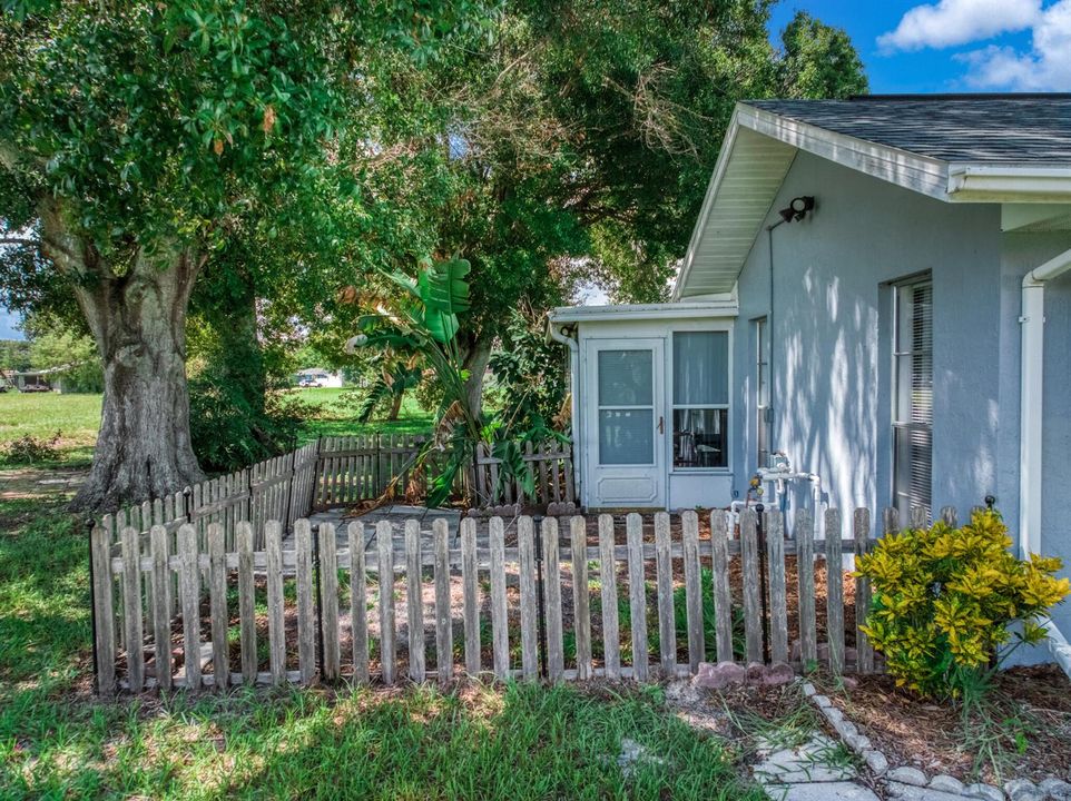 exterior - backyard 5